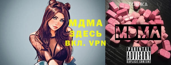 мдпв Вяземский