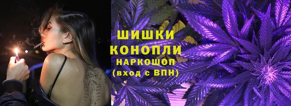 мдпв Вяземский