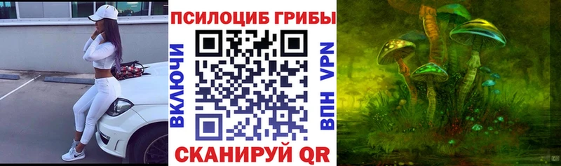Купить закладки  Кинешма  Галлюциногенные грибы ЛСД 